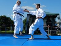 Bilder_2012 (12)